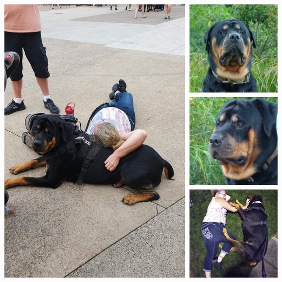 You never know....Narcolepsy Sucks - Picture 4 of 5